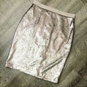 Maison Jules Champagne Sequin Pencil Skirt Size 2